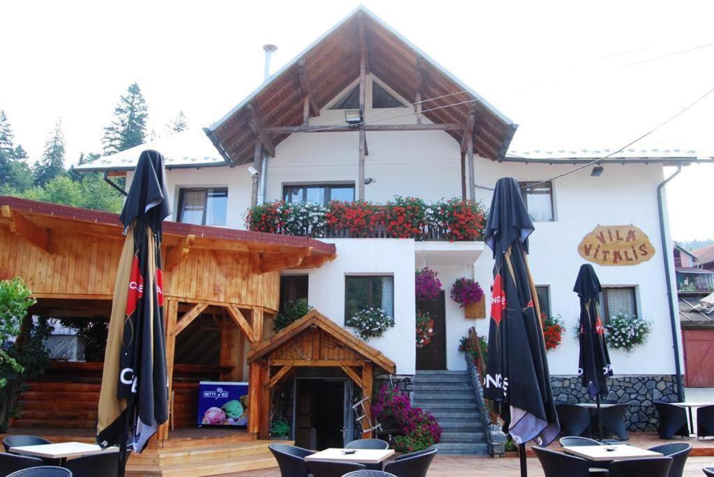 Vila Vitalis Predeal Exterior foto